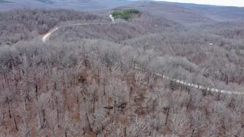 Ozark Land with National Forest Access