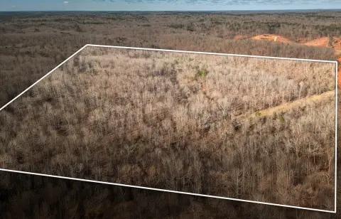 Ozark Land with Hardwoods and Pond