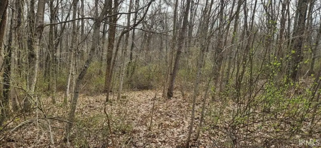 Picture 18