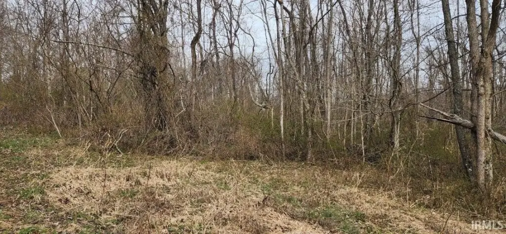 Picture 15