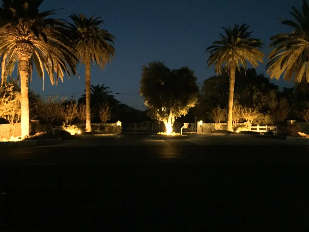 Picture 5