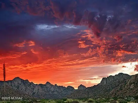 Dragoon Mountain Ranch Land