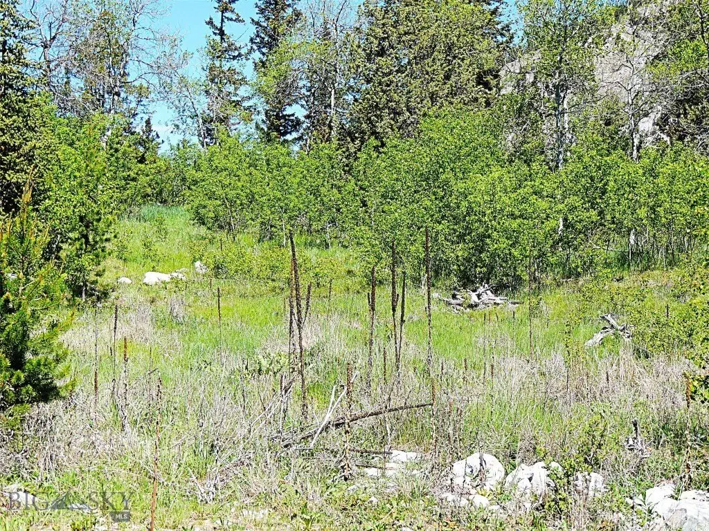 Picture 14