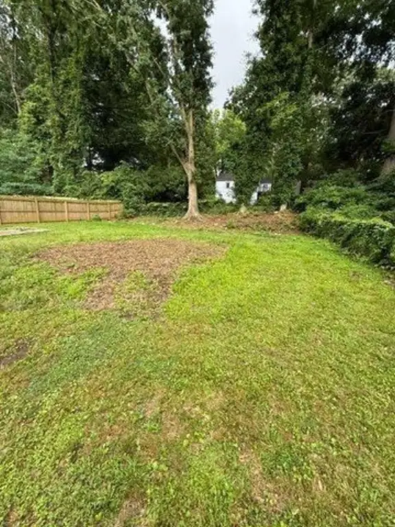 Picture 18