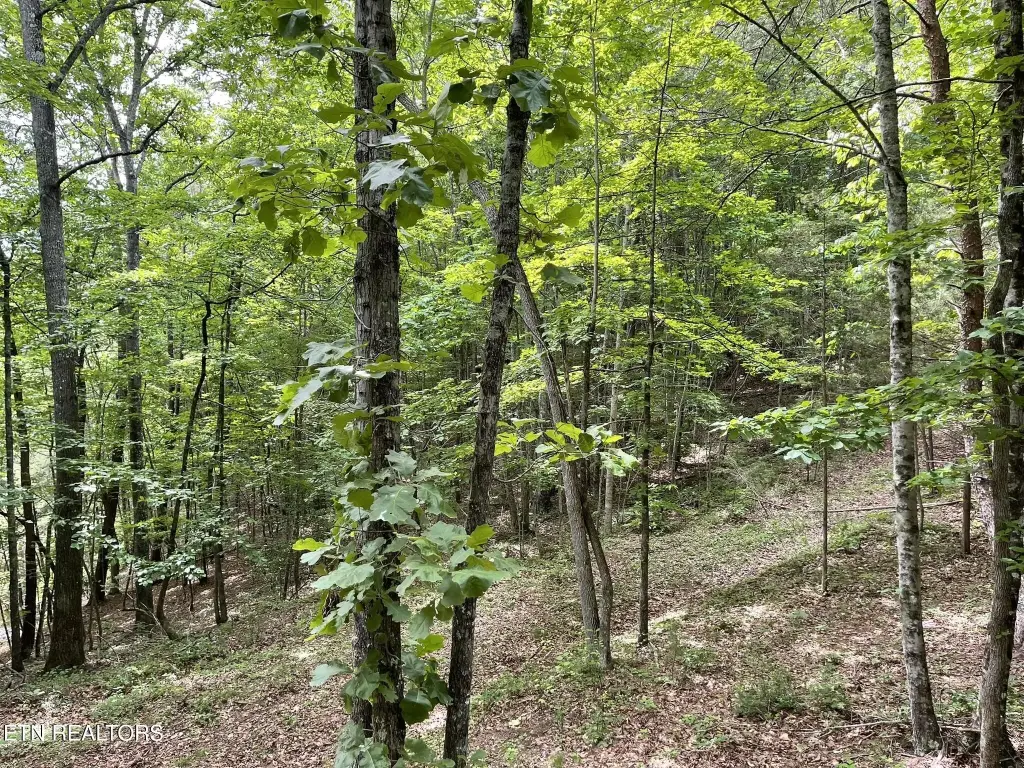 Picture 42