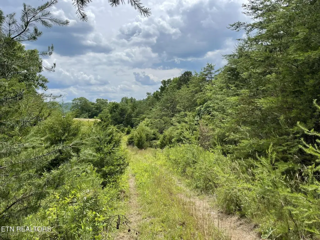 Picture 25