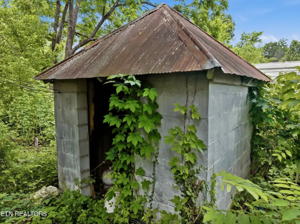 Picture 6