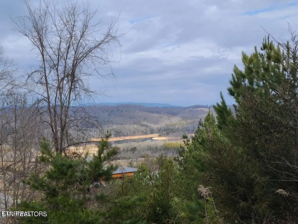 Picture 17