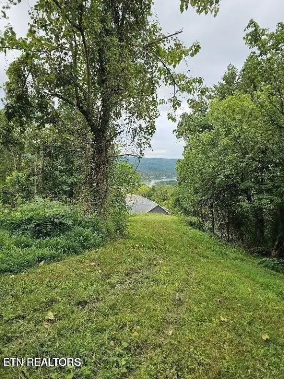 Picture 23