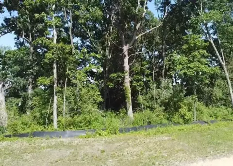 Verona, WI Residential Lot