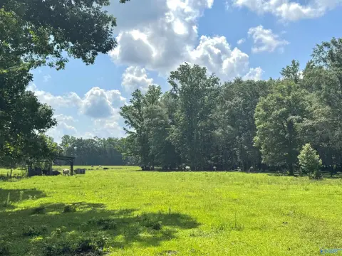 Moulton, AL Acreage For Sale