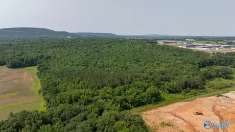90+ Acres Development Opportunity