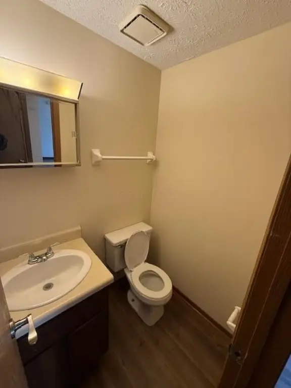 Picture 12