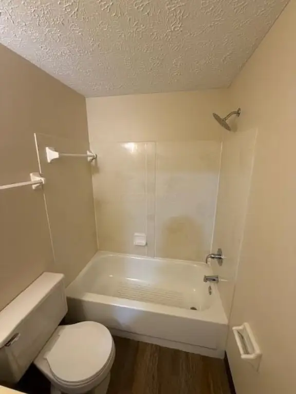 Picture 13