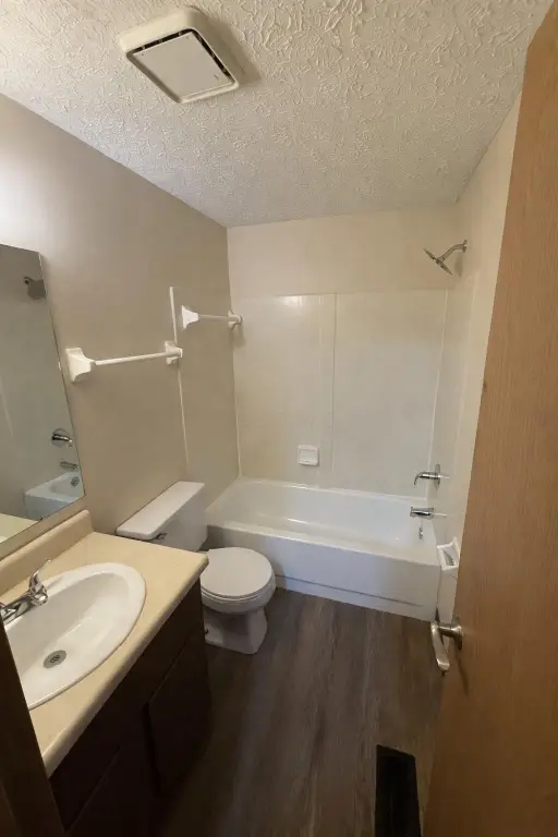 Picture 11