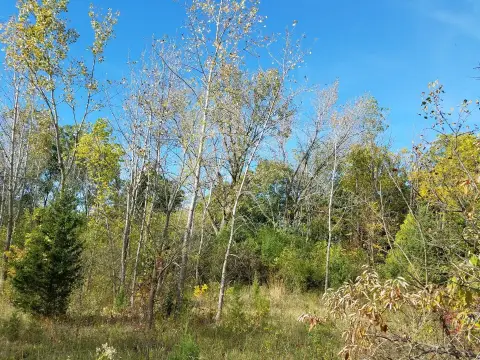 Lockport Land on Highly Traveled