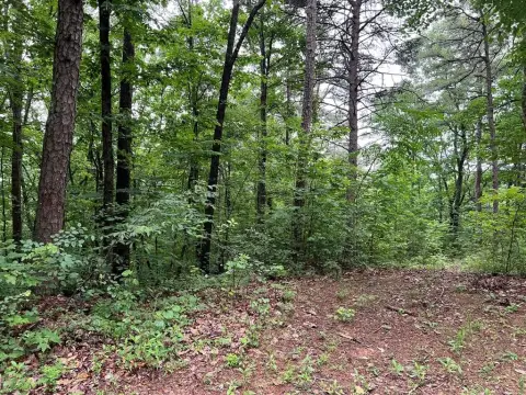 Ellijay, GA Acreage For Sale