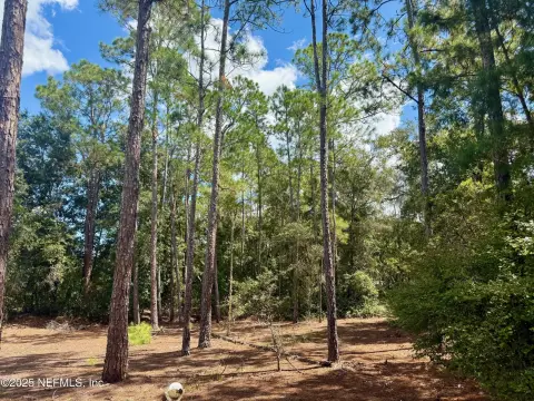 Buildable Lots in Florahome, FL
