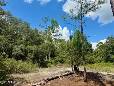 Buildable Lots in Florahome, FL