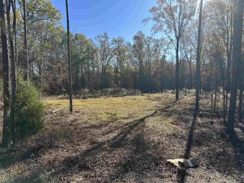 Residential Lot in Bonaire, GA