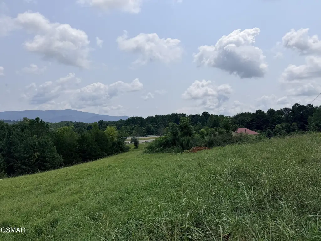 Picture 21