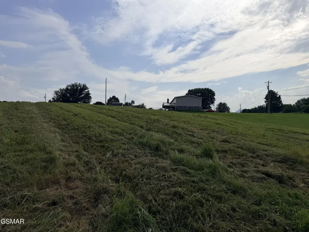 Picture 19
