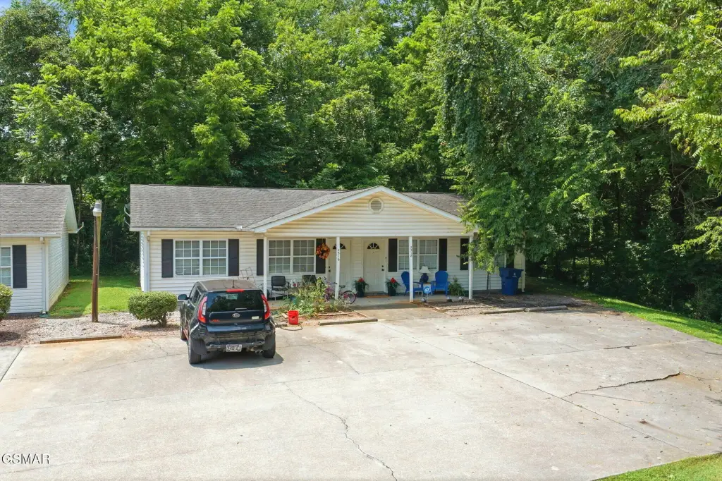 Picture 4