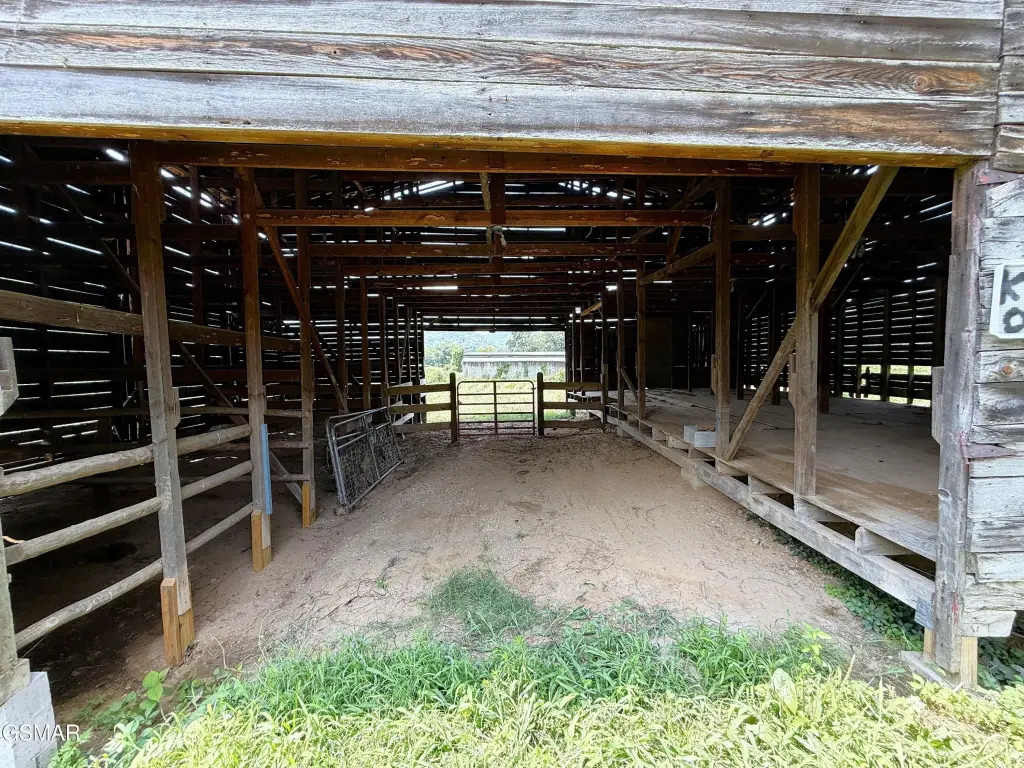 Picture 5
