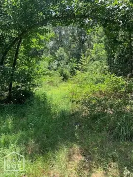 Scenic Acreage Near Paragould, Arkansas