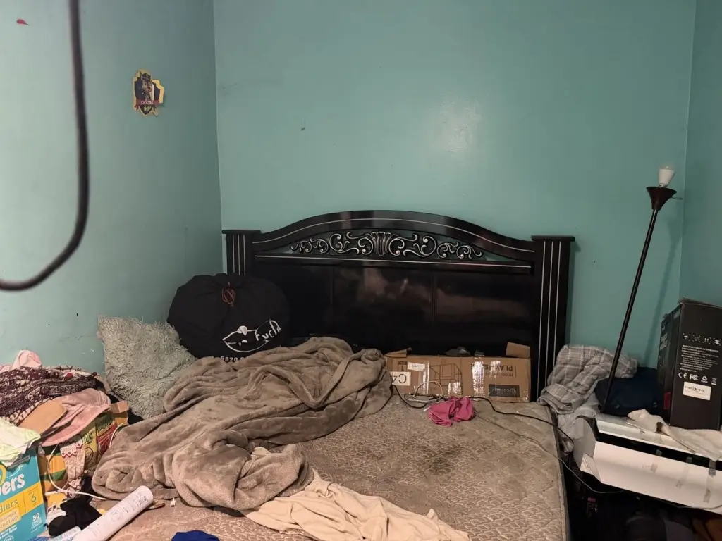 Picture 5