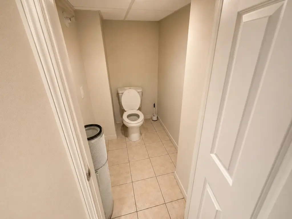 Picture 13