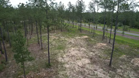 Cleared Corner Lot in Jay, FL