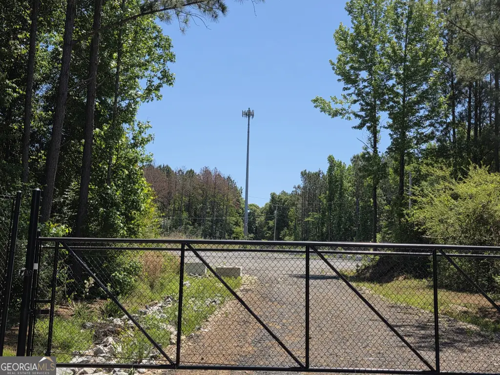 Picture 9