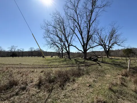 Vacant Land Near Gordo, Alabama