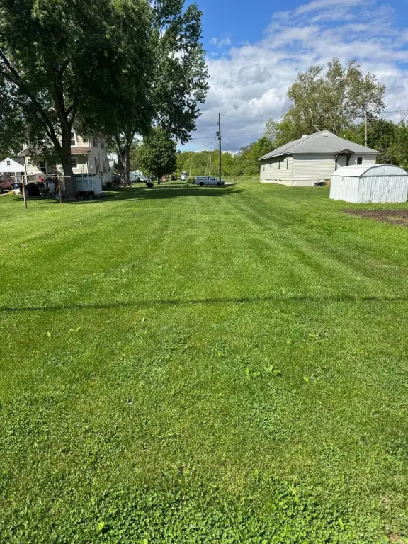 Picture 3