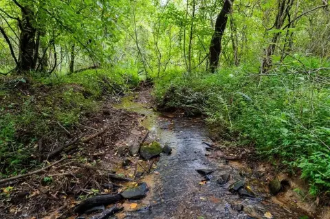 Creek Front Acreage in Ellijay
