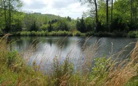 Hayesville, NC Vacant Lot