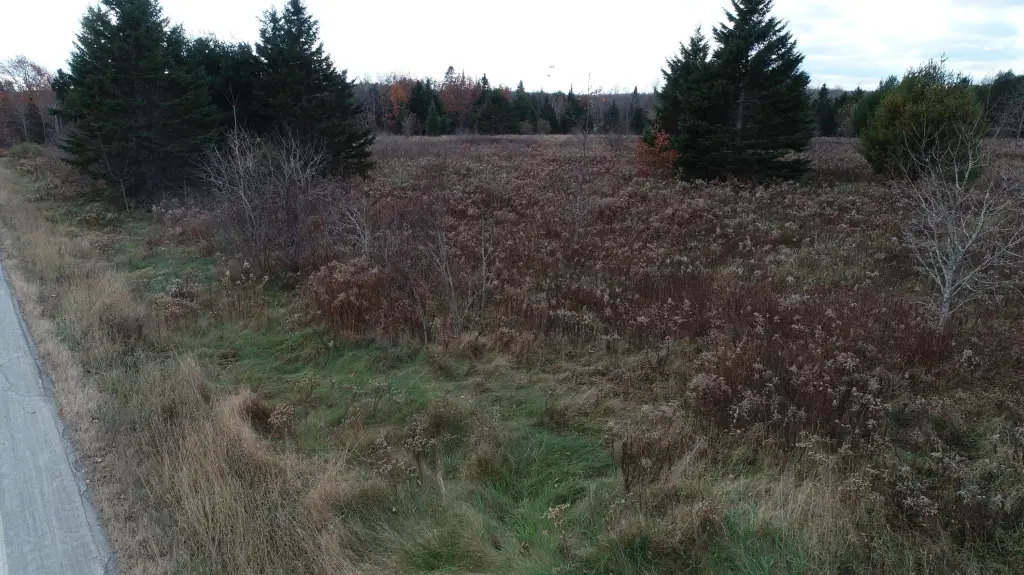 Picture 47