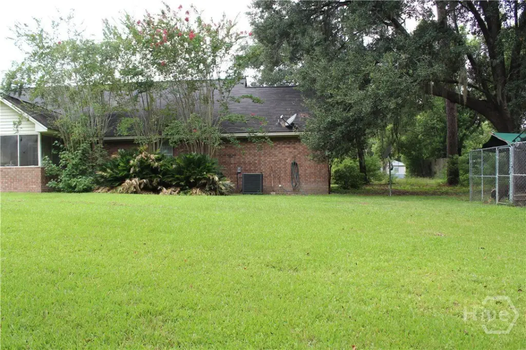 Picture 15