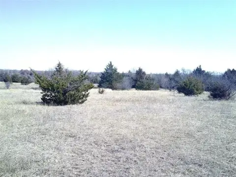 Unimproved Land in Chico, Texas