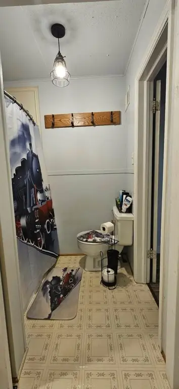 Picture 43