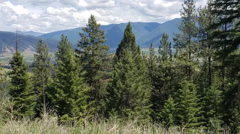 Arlee, MT Wooded Acreage
