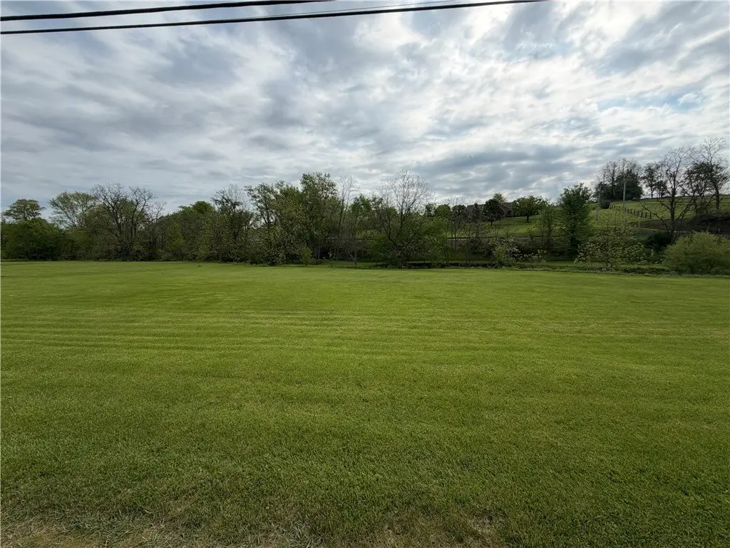 Picture 7