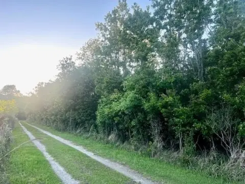 5-Acre Wooded Land Parcel