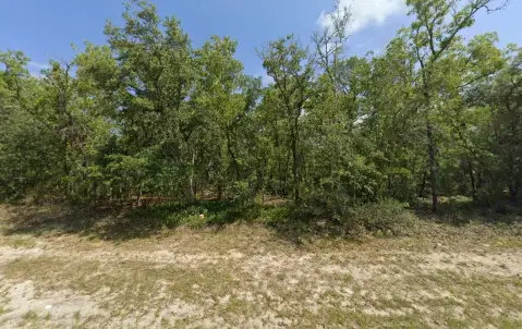 Dunnellon, FL Vacant Land