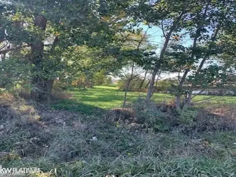 Vacant Land in Brown City