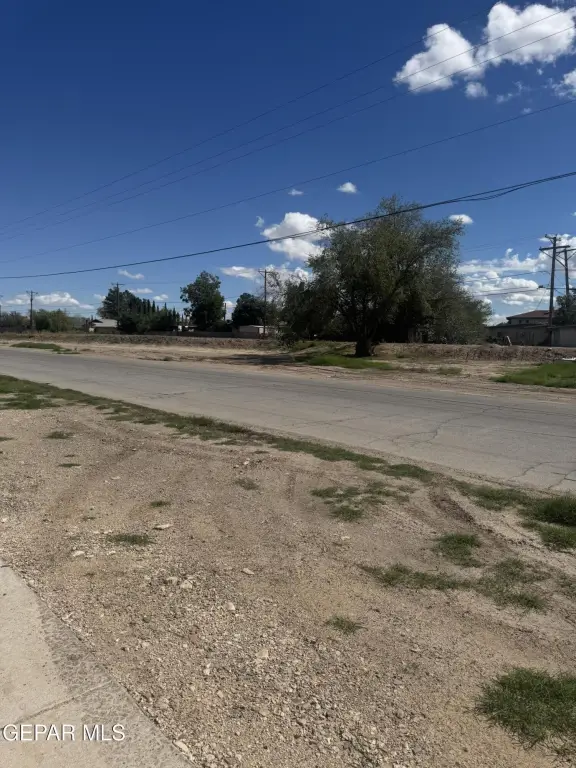 Picture 14