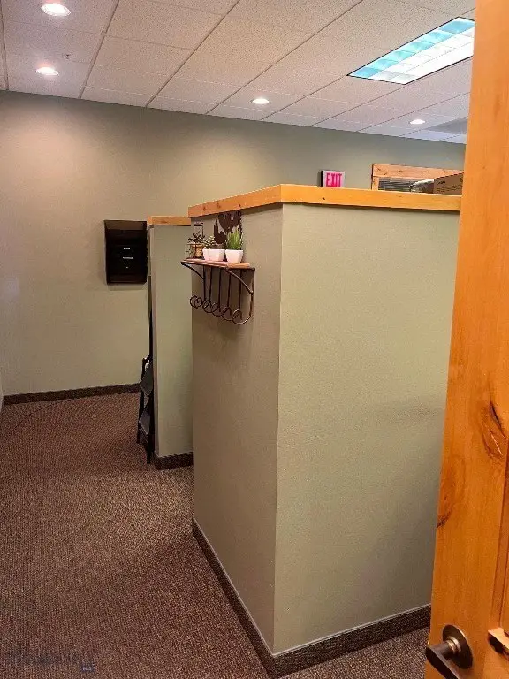 Picture 8