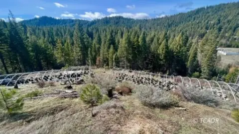 Wildwood Land with Development Potential