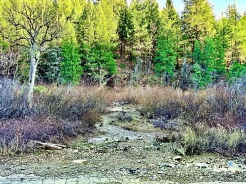 Picture 21